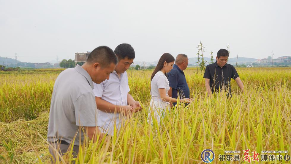 w_DSC00130_副本.jpg.jpg w_DSC00130_副本.jpg.jpg
