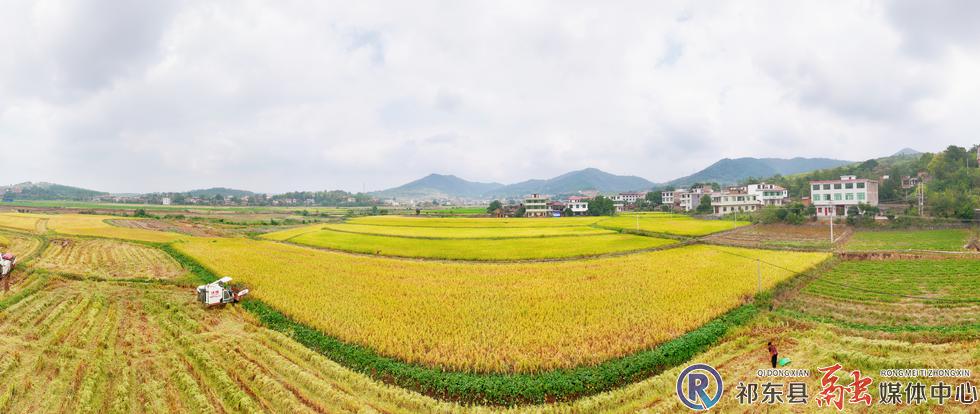 w_DJI_20260921110220_0175_D_副本.jpg.jpg w_DJI_20260921110220_0175_D_副本.jpg.jpg