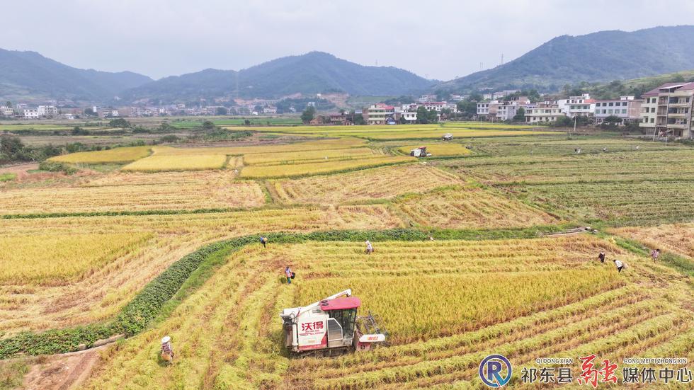 w_DJI_20260921104613_0144_D_副本.jpg.jpg w_DJI_20260921104613_0144_D_副本.jpg.jpg