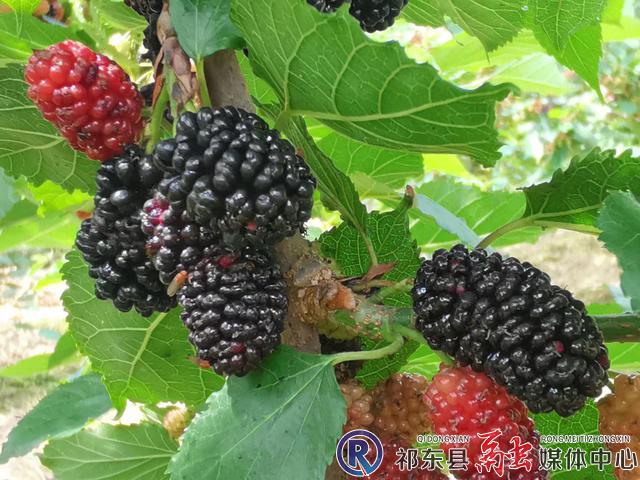 w_36916e7181d1b0436f3afdb78addec7.jpg