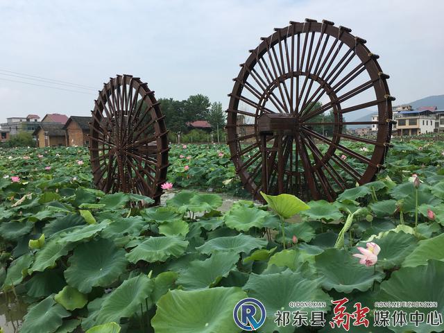 w_4ee4f5d659f9af4c14d0472ae13138d.jpg w_4ee4f5d659f9af4c14d0472ae13138d.jpg