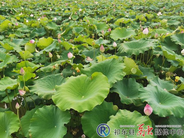 w_eab8dbfdc6656a89b94aec7f4be8347.jpg w_eab8dbfdc6656a89b94aec7f4be8347.jpg