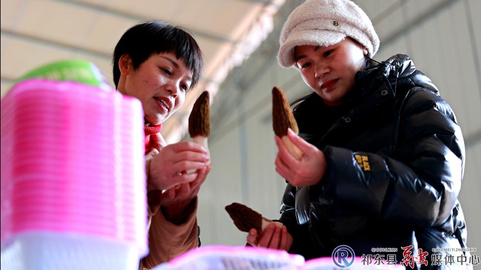w_微信图片_20230214142816.jpg