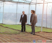 贺光辉赴河洲镇督导当前重点工作
