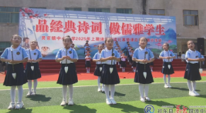 灵官镇加强小学生国学熏陶