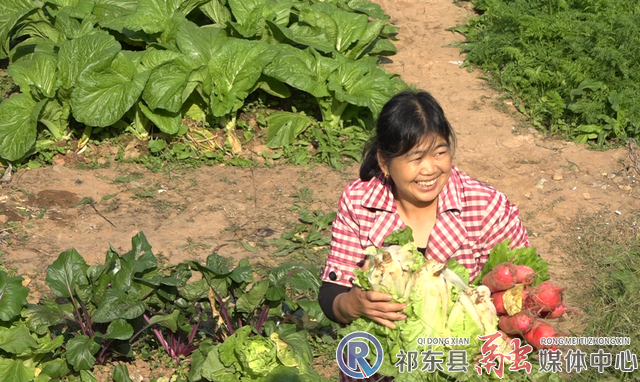 w_微信图片_20201114194512.jpg.png