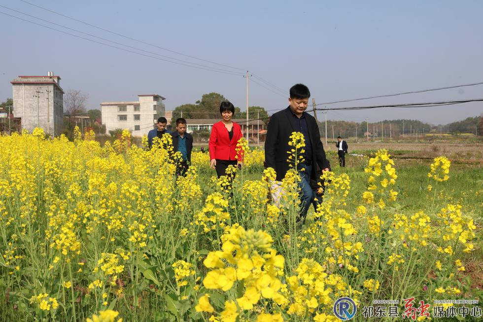 陈金定赴过水坪镇巡田巡林__祁东新闻网