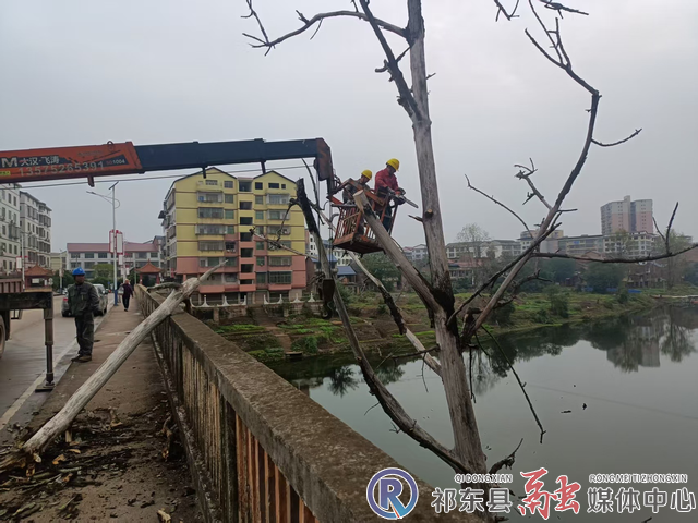 w_图片1.jpg.png w_图片1.jpg.png