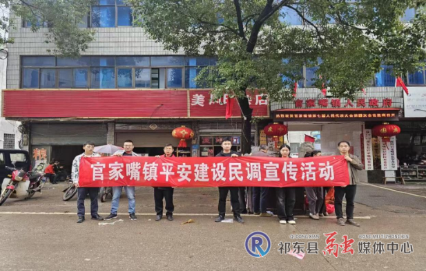 官家嘴镇开展平安建设民调集中宣传活动