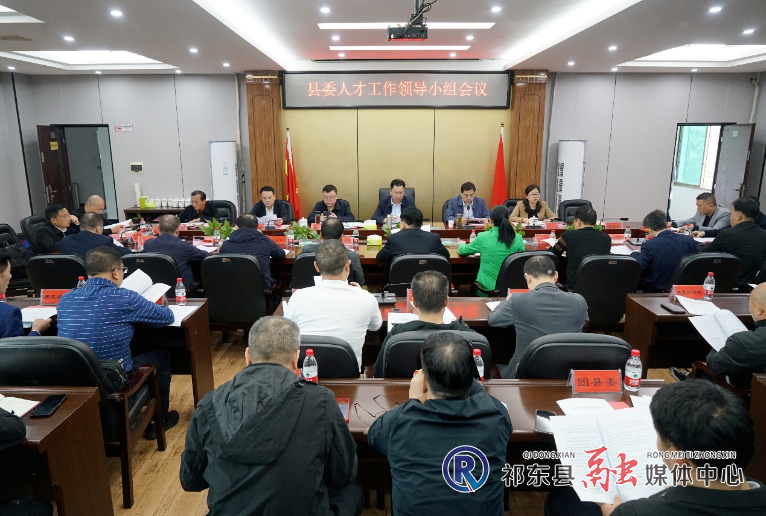 县委人才工作领导小组召开会议