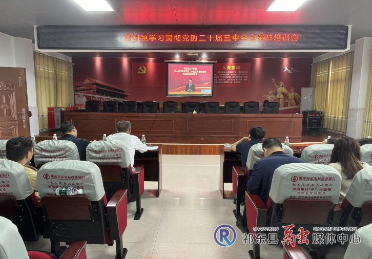 河洲镇集体学习贯彻党的二十届三中全会精神