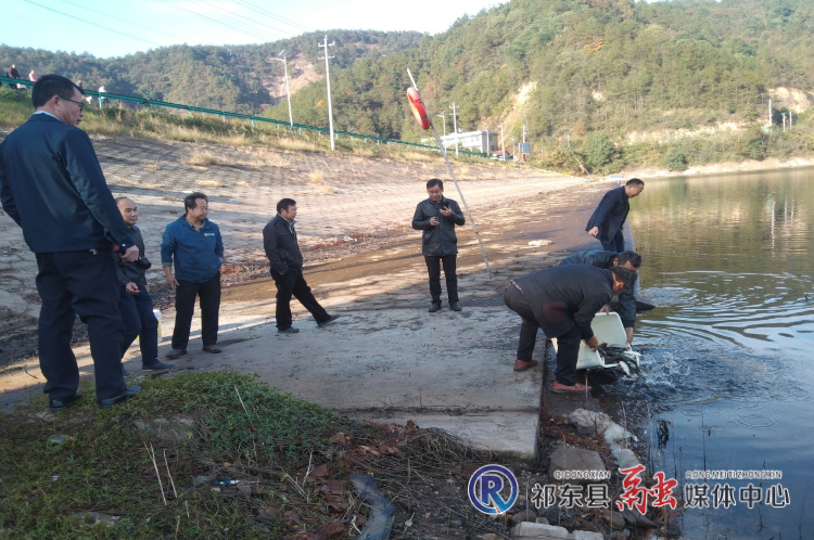 我县在曹口堰水库投放1万余尾鱼苗“净水”