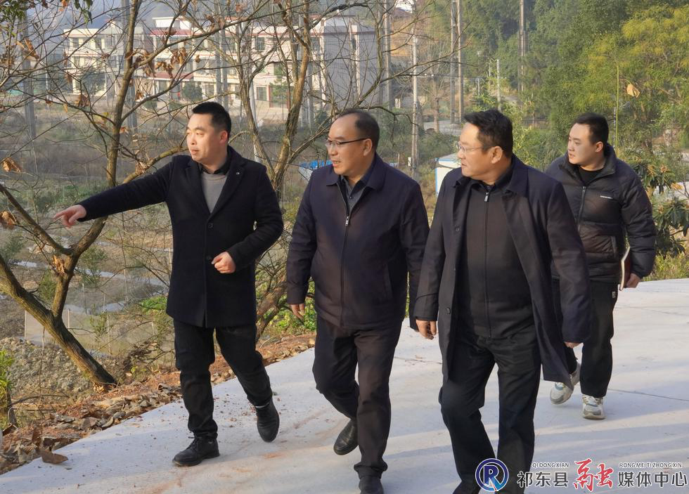 龙新林赴玉合街道巡林巡河巡田