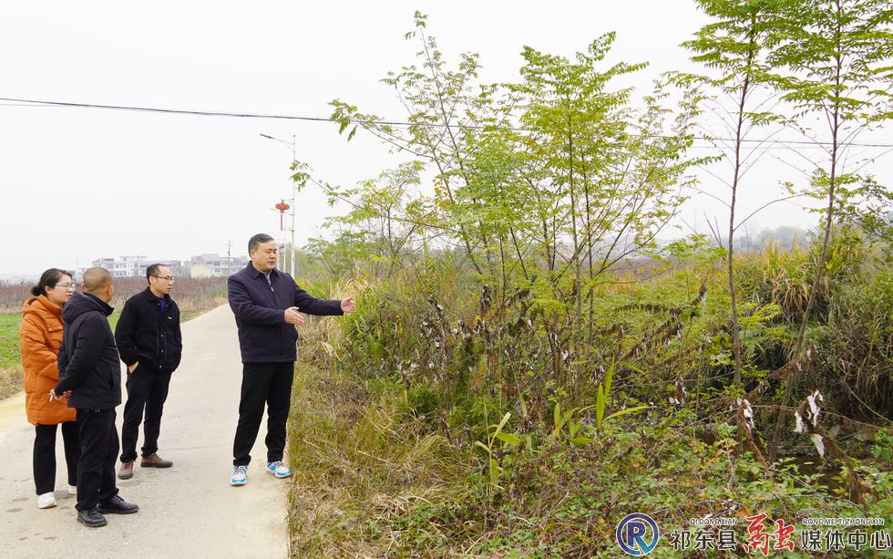 陈鹏赴太和堂镇巡河