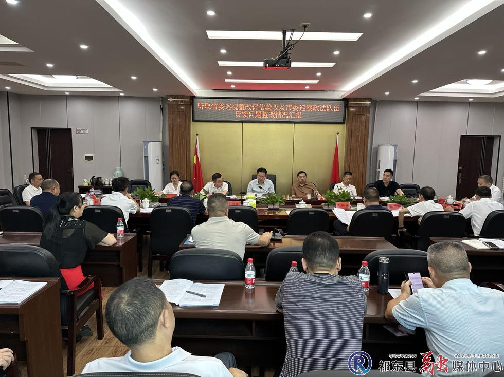 雷华听取省委巡视整改评估验收及市委巡察政法队伍反馈问题整改情况汇报