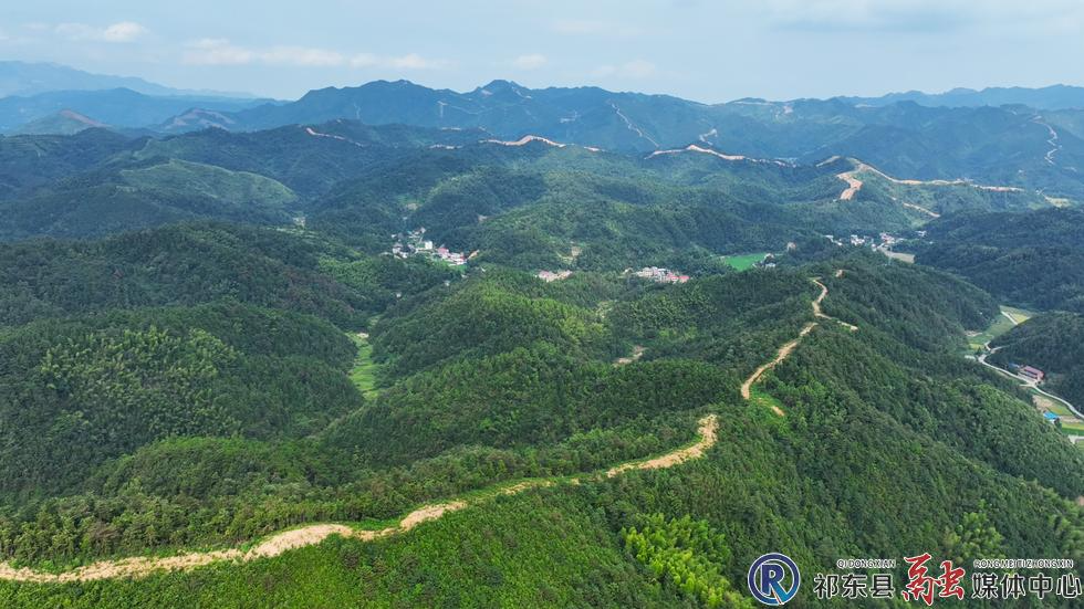 马杜桥乡：开设防火隔离带 筑牢森林“安全墙”