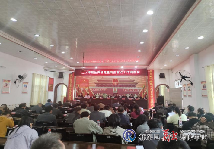 过水坪镇调度医保征缴工作