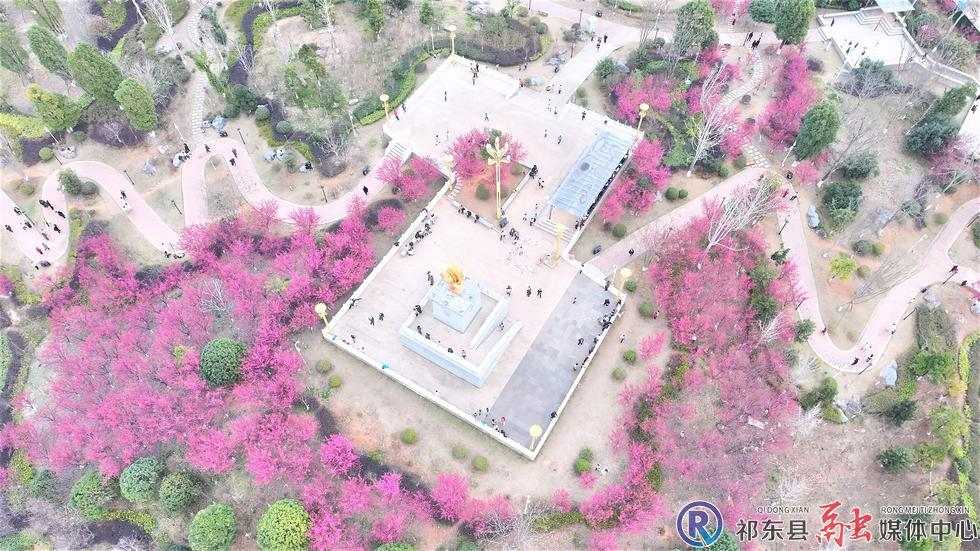 春日相邀 请你来祁东看樱花