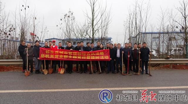 县城管局开展植树主题党日活动