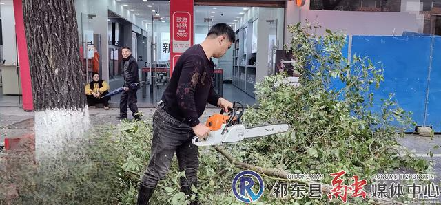 行道樟树侧枝断裂 城管迅速到位处置