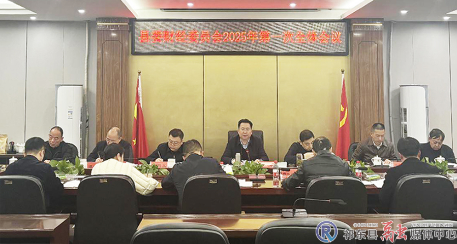 县委财经委员会召开2025年第一次全体会议