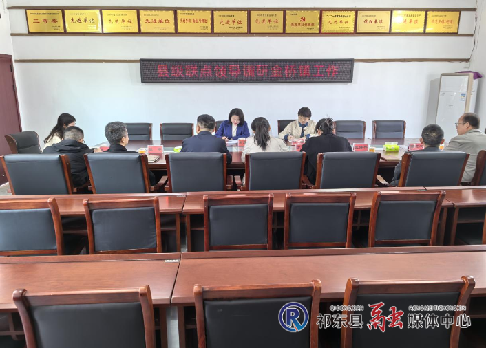 罗华榕赴金桥调研当前重点工作