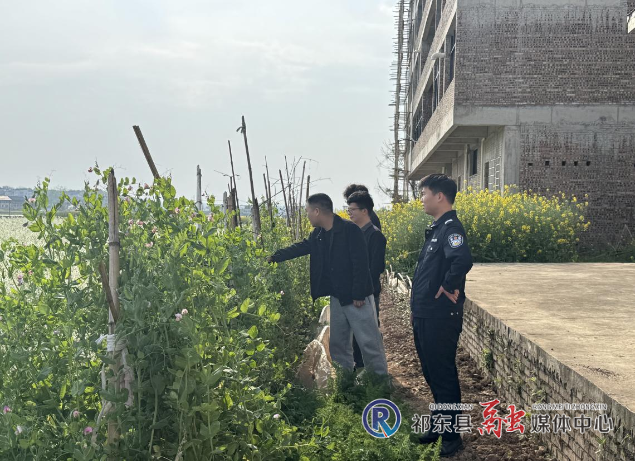 金桥镇:禁种铲毒无死角