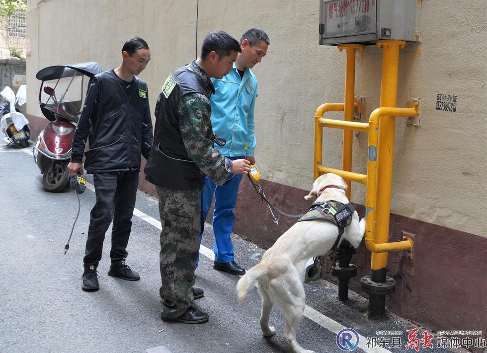 祁东县： 嗅探犬上岗助力燃气安检