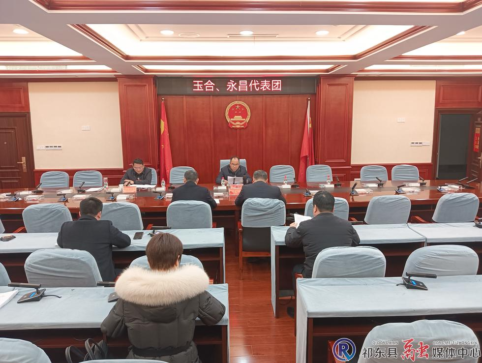 县人大代表开展分团讨论：畅所欲言，共话县域发展新篇章