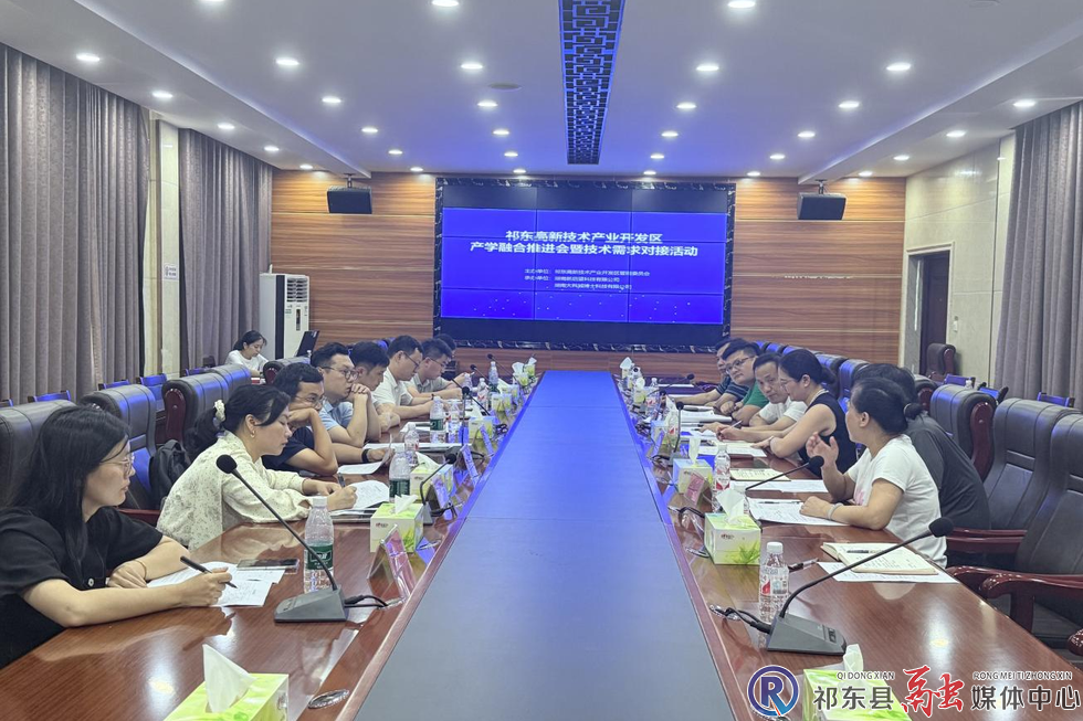 南华大学专家团赴祁东高新区破解企业技术难题