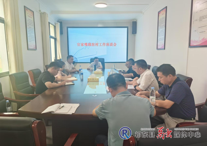 官家嘴镇驻村队员欢聚一堂相互“取经”