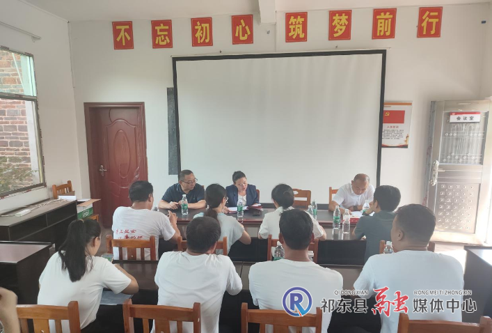 县领导调研软弱涣散党组织整顿工作