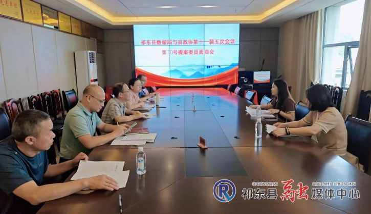 县数据局召开政协提案面商会