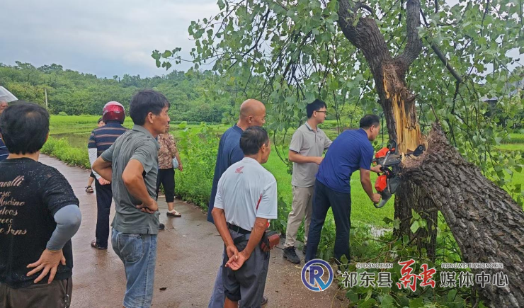 白鹤街道快速处置一处险情