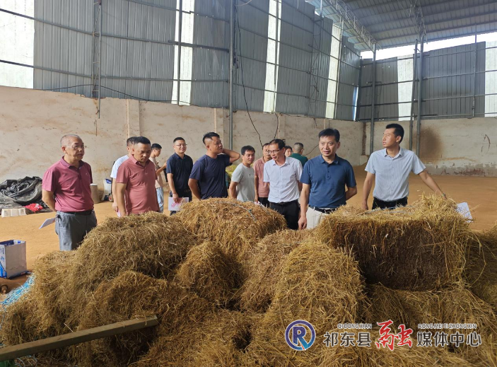 我县助推秸秆转化成“财富”