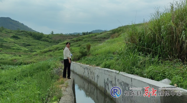 杨家台水库科学抗旱保丰收
