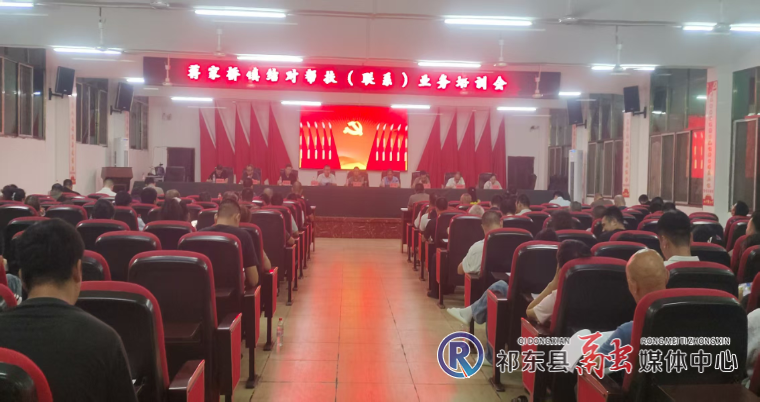 蒋家桥镇举办结对帮扶培训会