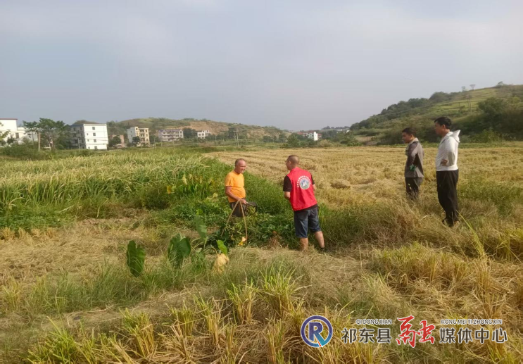 杳湖湿地公园加强秸秆禁烧和森林防火宣传