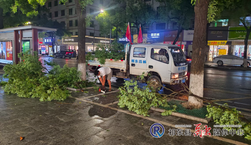 县园林绿化所全力守护城市绿荫