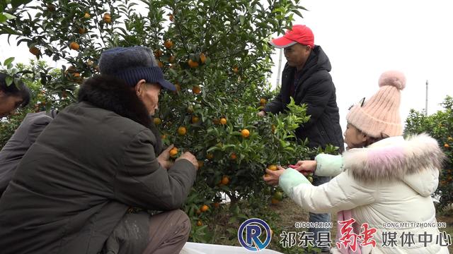 w_微信图片_20201228094417.jpg
