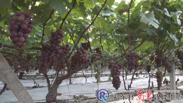 w_微信图片_20210201152925.jpg