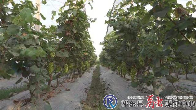 w_微信图片_20210201152912.jpg