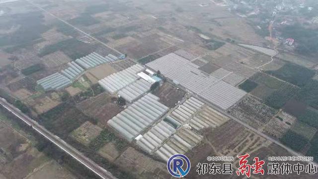 w_微信图片_20210201152850.jpg