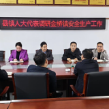 人大代表调研金桥镇安全生产工作