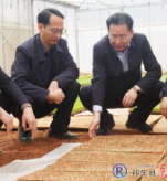 雷华调研春耕备耕和违法用地整改工作