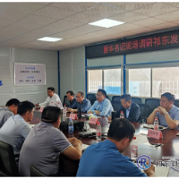 雷华督导生活垃圾焚烧发电厂项目建设