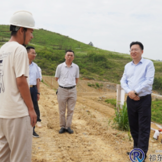 雷华调研水利项目建设和违法占用林地整改工作