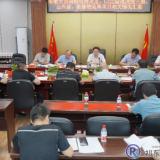 雷华：精准施策 协同发力 全力推进重点项目建设