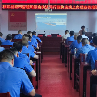 县城市管理和综合执法局开展 “湖南省城市运行管理服务平台” 操作培训