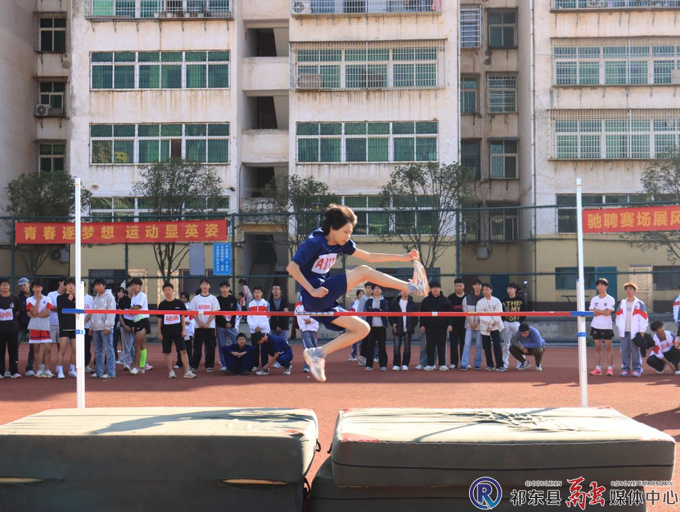 w_图片12.png w_图片12.png